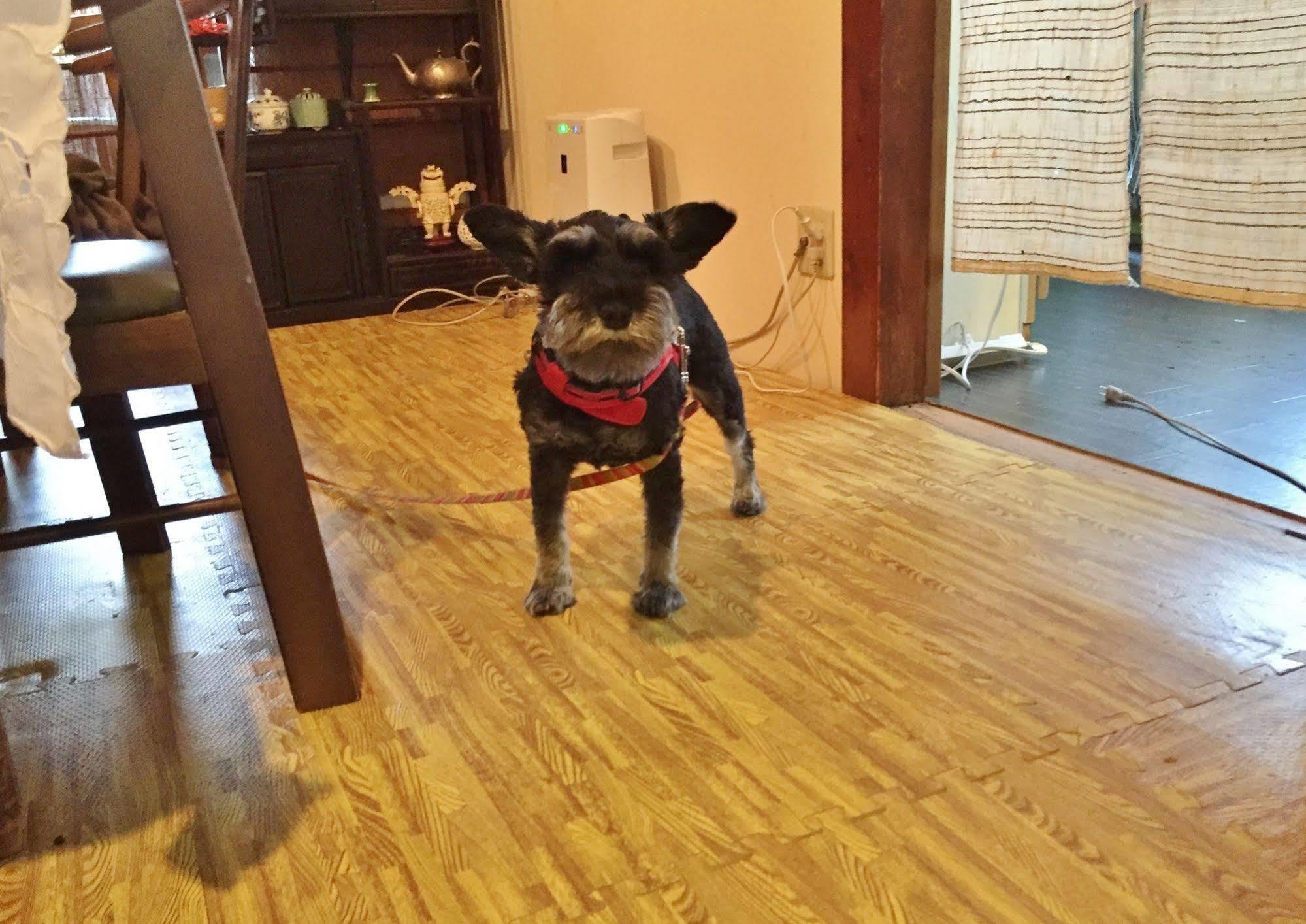 Hotobil B&B 潤 An Inn That Enjoys Breakfast Nara Buitenkant foto